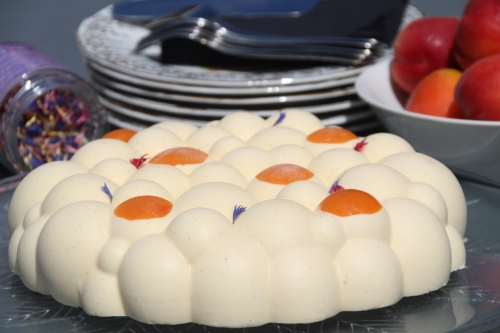 entremets, vanille, abricot