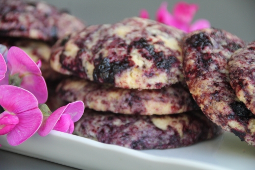 cookies, cheesecake, fruits rouges, myrtilles, cheesecookie, biscuit