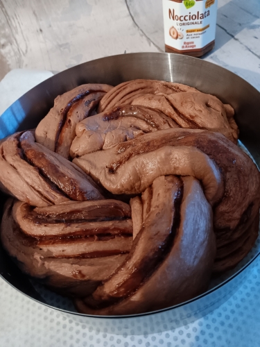 Brioche, babka, cacao, pâte à tartiner Nocciolata 
