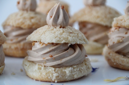 Pâte à choux, ganache, praliné 